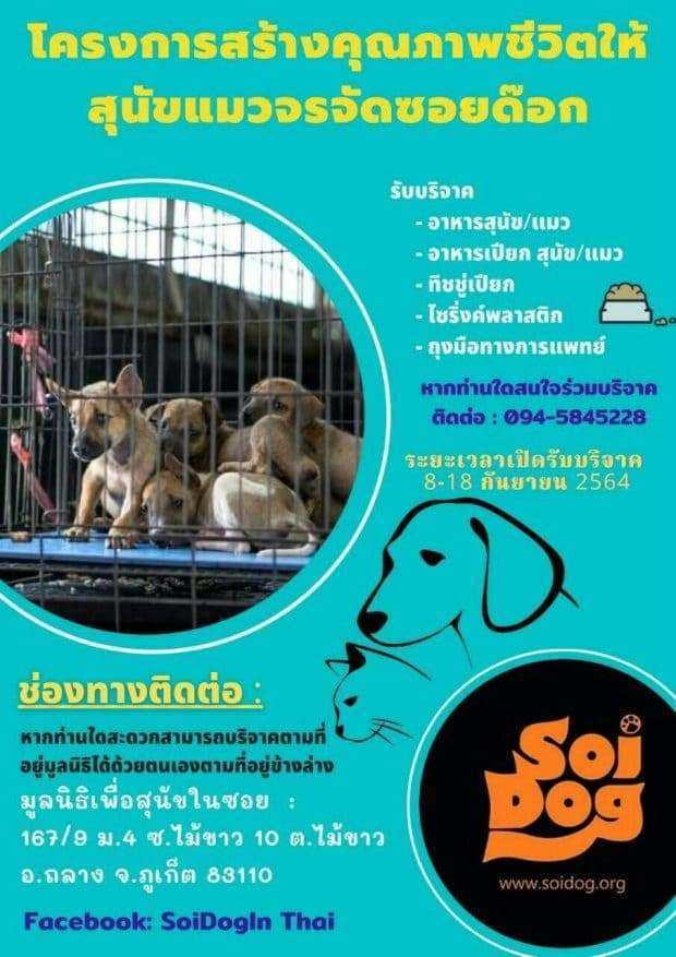 สร้างคุณภาพชีวิตให้สุนัขแมวจรจัดซอยด๊อก